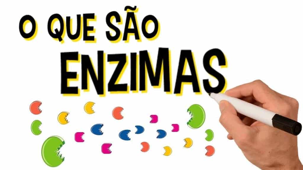 Enzimas o que são Definição como funcionam classificação e exemplos