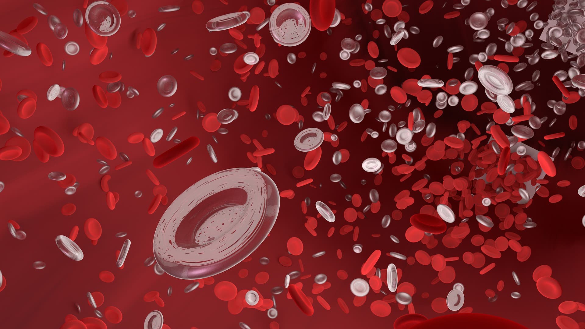 anemia