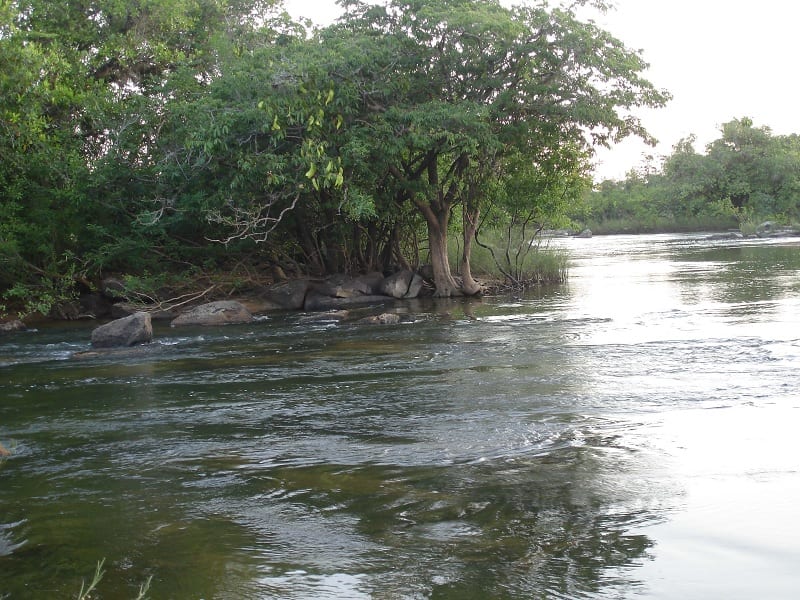 Hidrografia: conheça o estudo das águas do planeta