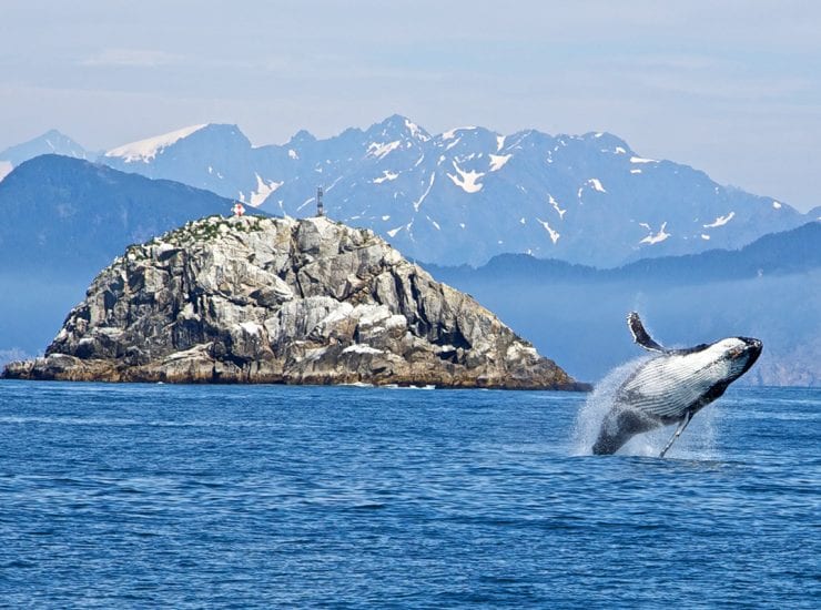 Hidrografia: conheça o estudo das águas do planeta