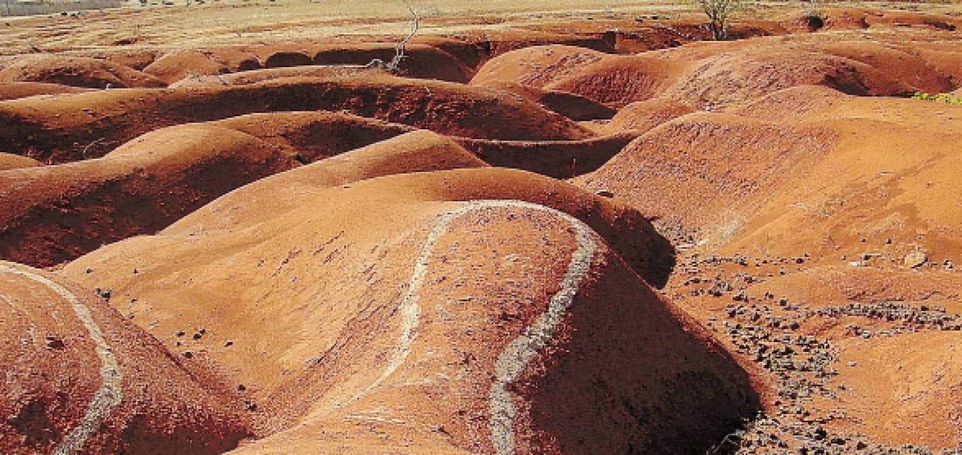 A Desertificação é uma tragédia irreversível que se espalha pelo mundo