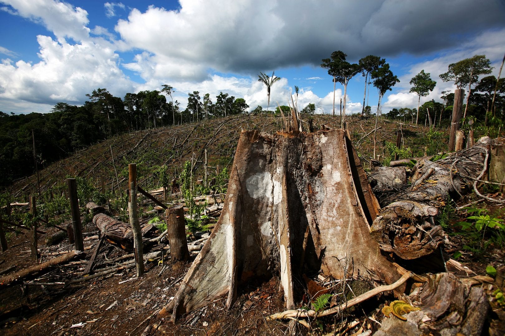 A Desertificação é uma tragédia irreversível que se espalha pelo mundo
