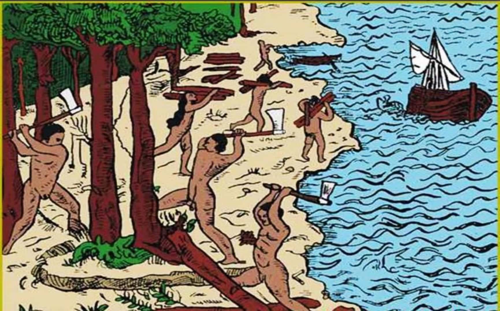 Apenas a comercialização do pau-brasil marcou o Período Pré-colonial