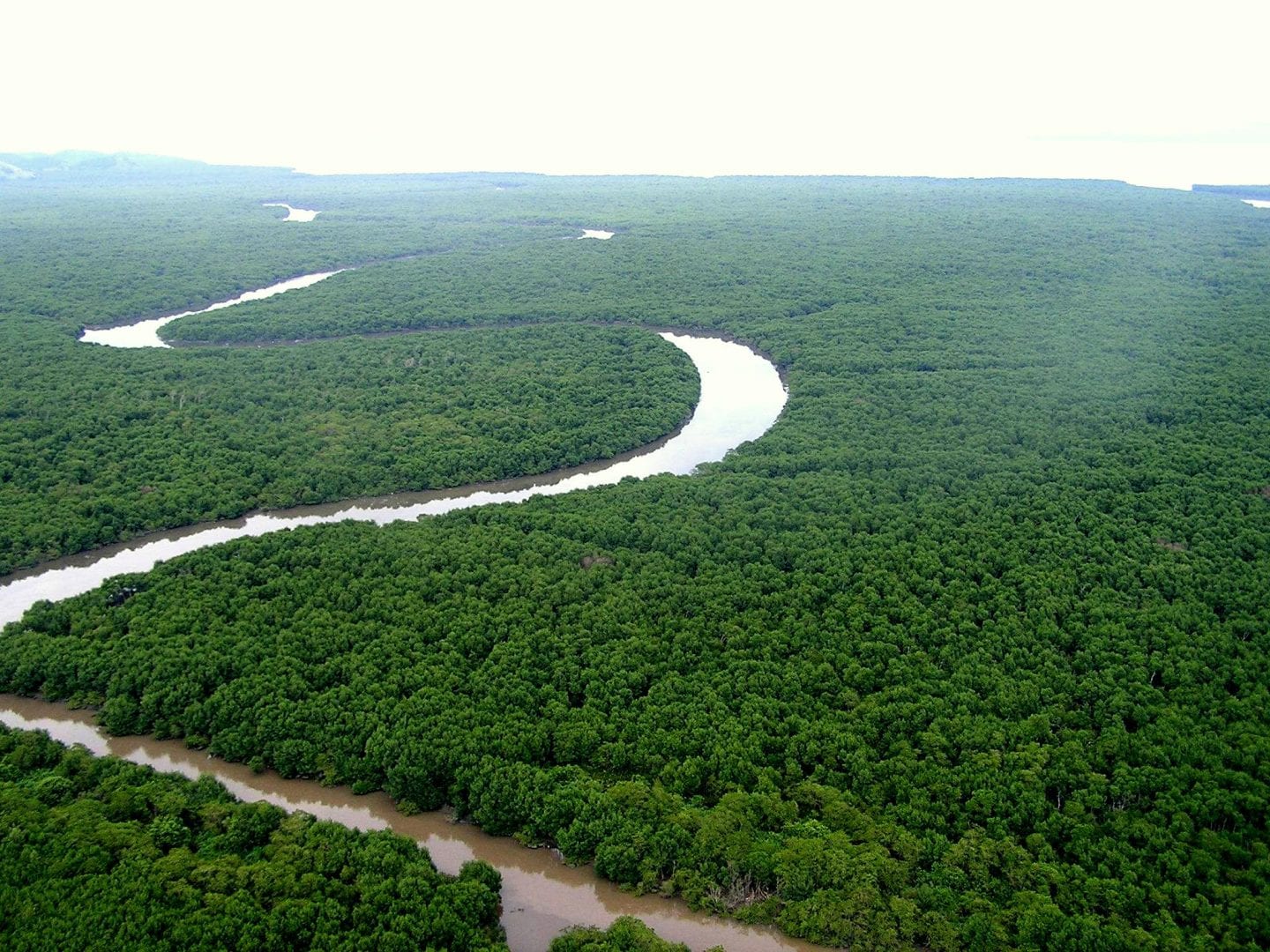 Você conhece as riquezas da Mata Atlântica e sua diversidade cultural?