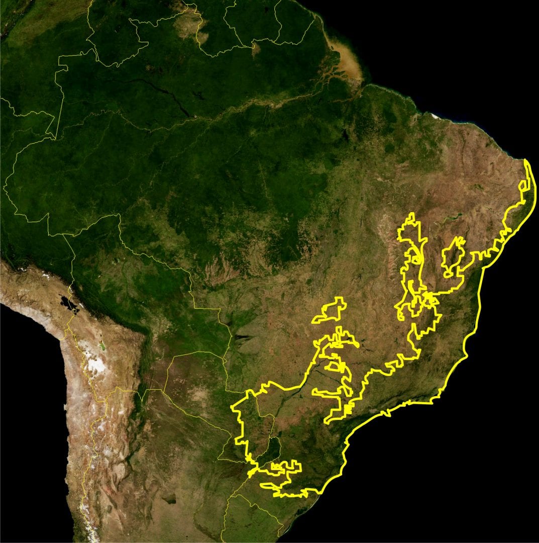 Você conhece as riquezas da Mata Atlântica e sua diversidade cultural?