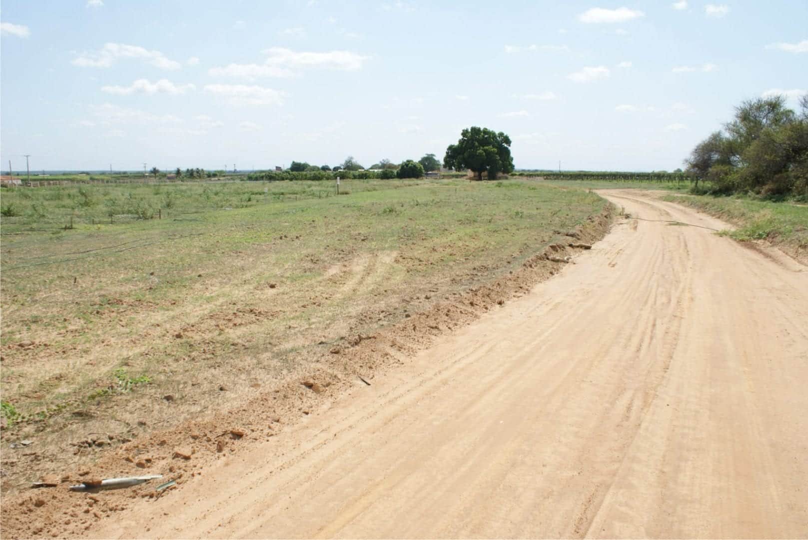 Você sabia que no solo arenoso a água escoa rápido e leva os nutrientes?