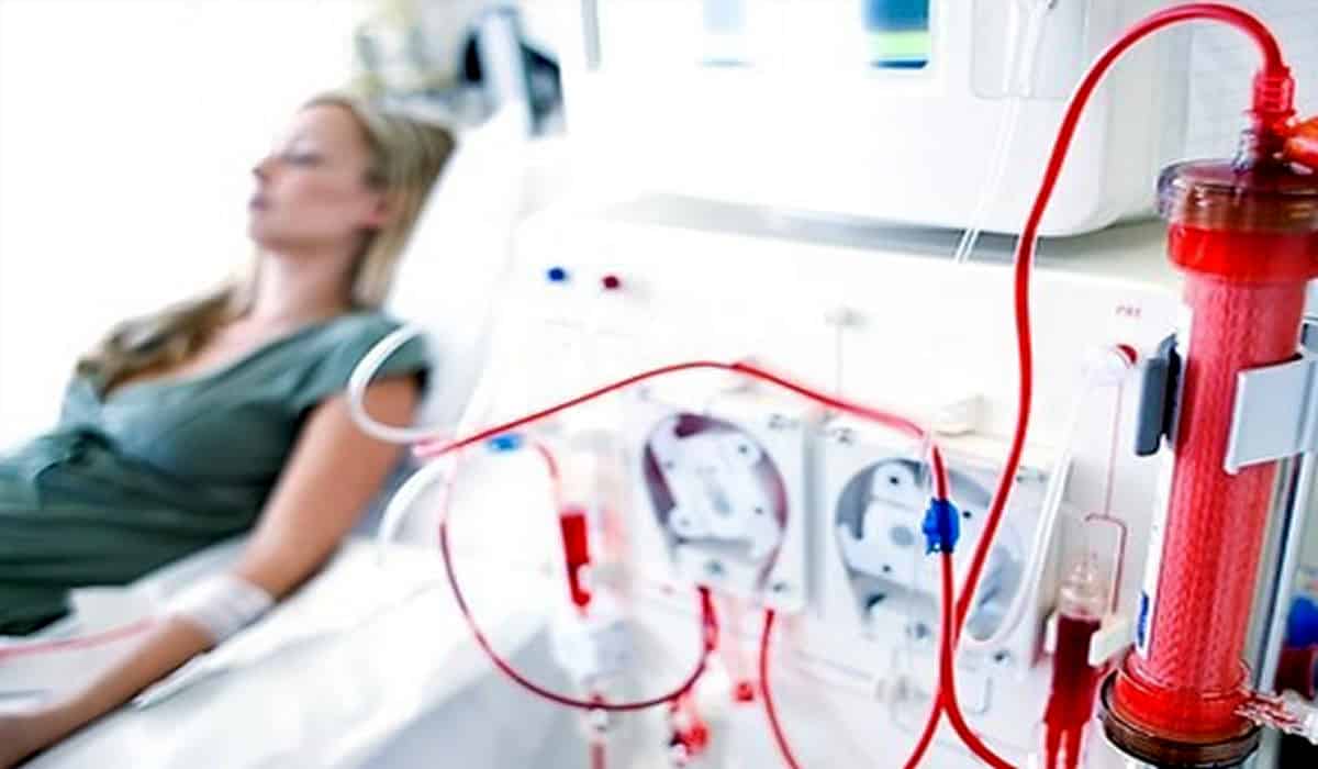 Conheça a osmose e saiba como é a movimentação da água na célula