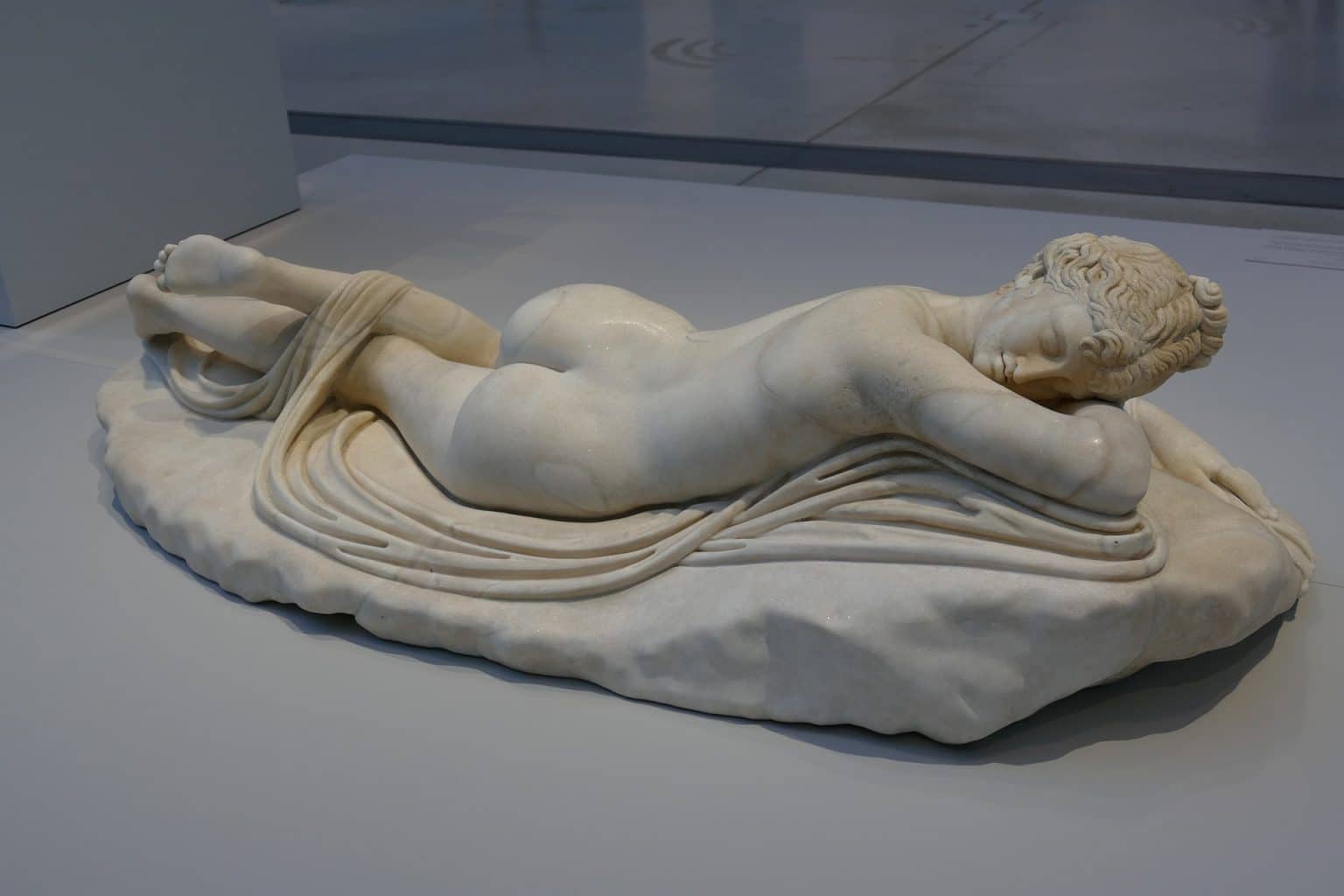 Hermafrodita: o que é, tipos, características e em humanos