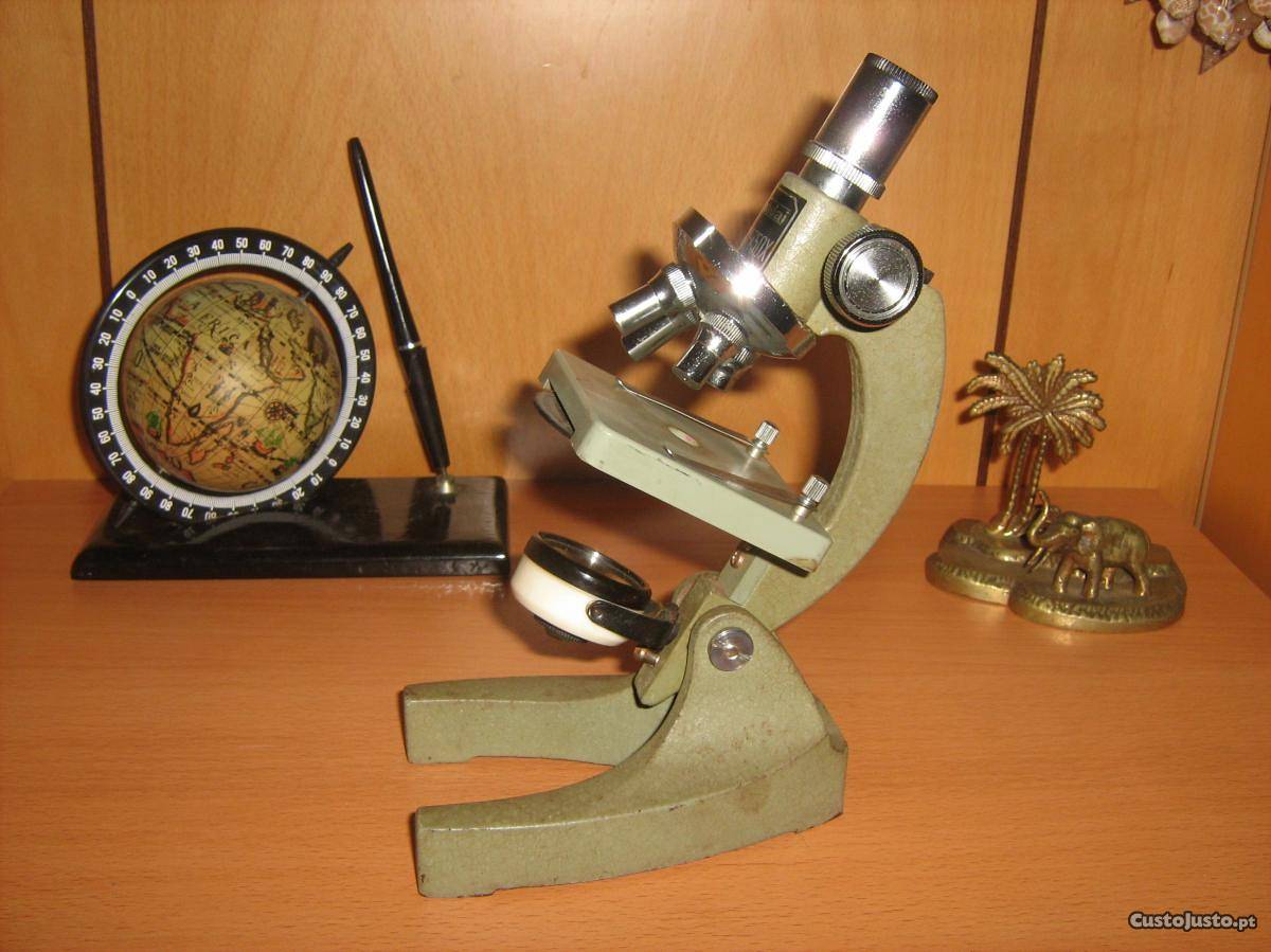 O que é citologia? Saiba como é a estrutura no interior das células