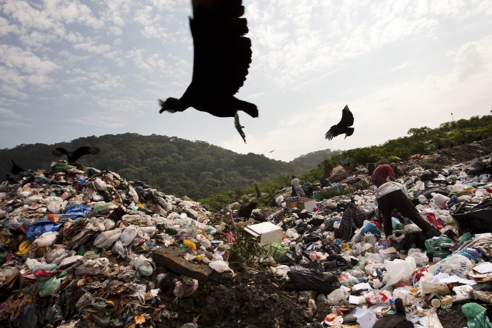 Saiba como se dá a poluição da Água e como o homem contribui para isso