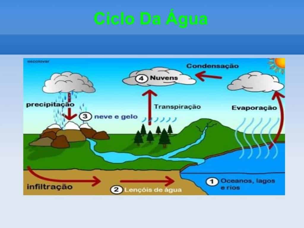 Em Qual Dos Ciclos Biogeoquímicos Abaixo Apenas Ocorrem Transformações Físicas Brasileduca 5320