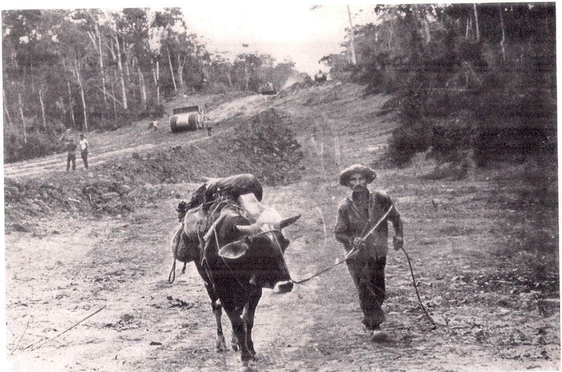 Conheça a Transamazônica, uma obra faraônica da Ditadura Militar