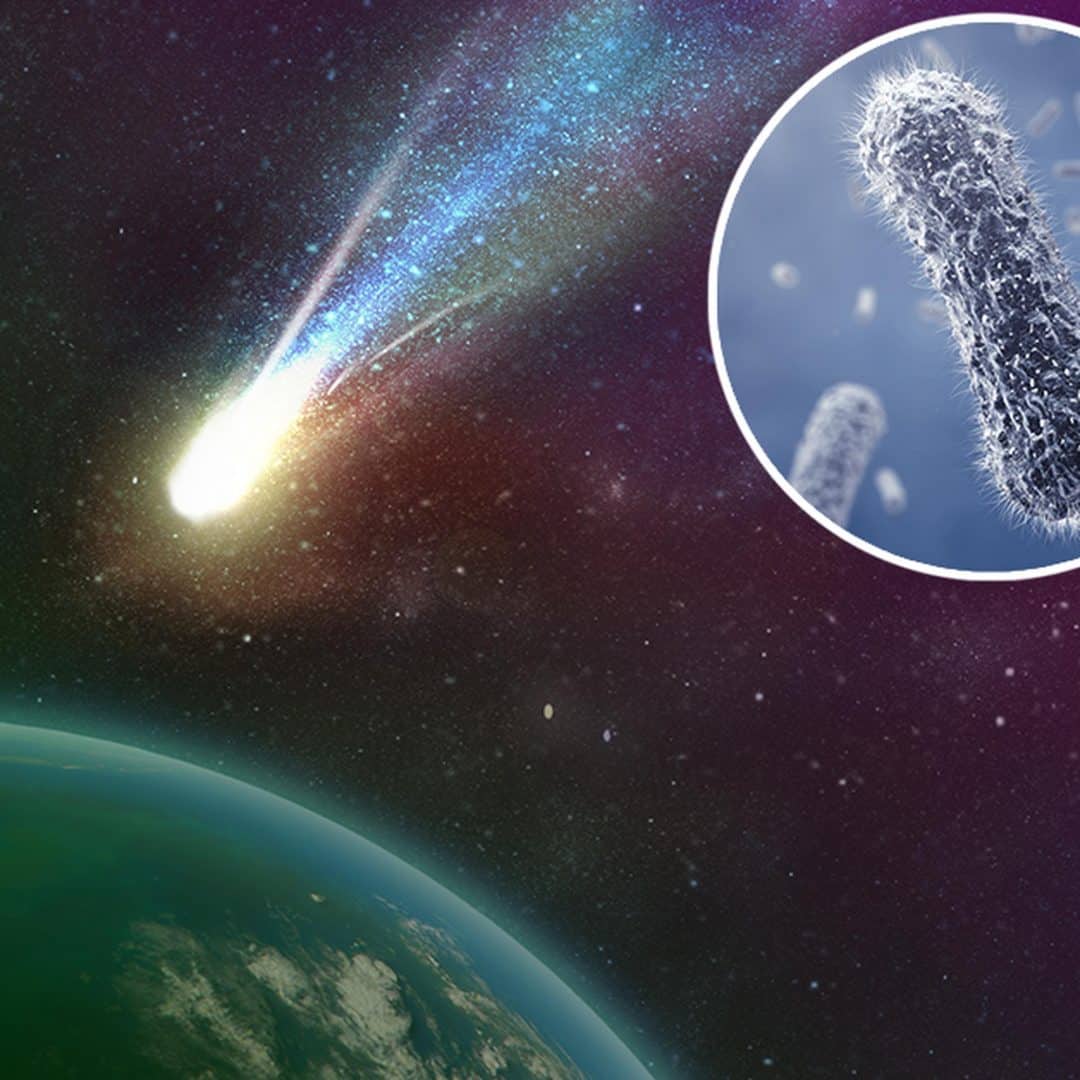 Qual a origem da vida na Terra? Conheça a principais teorias sobre o tema