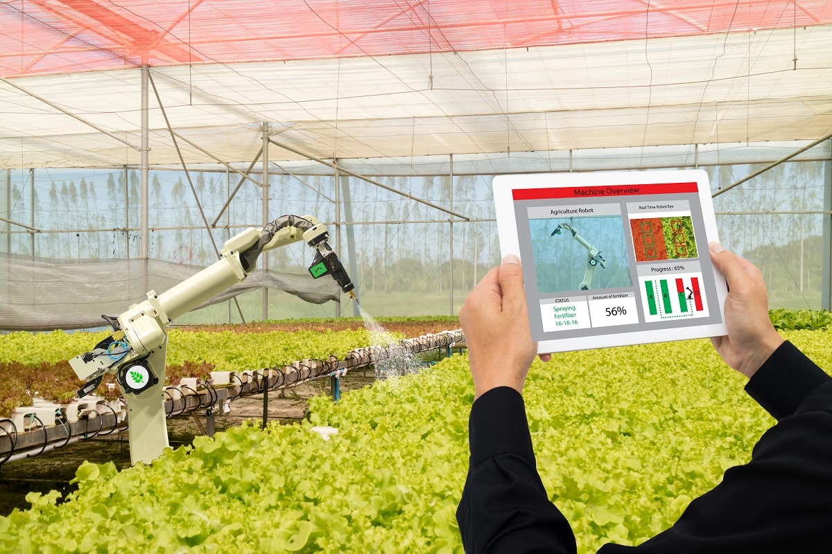 Entenda o agronegócio – história, características, críticas e fundamento