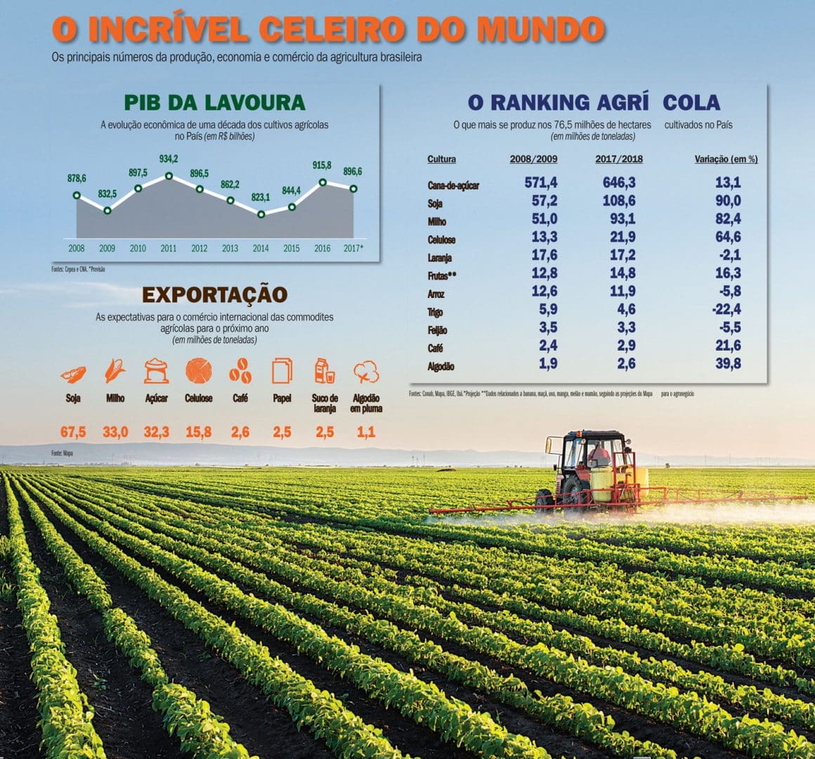 Entenda o agronegócio – história, características, críticas e fundamento