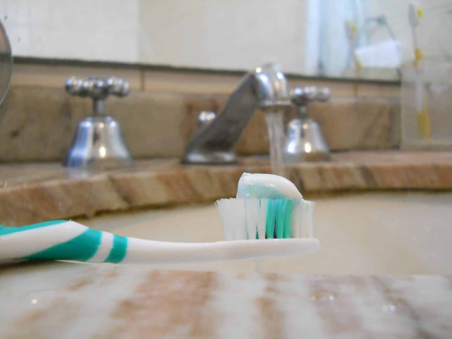 Saiba o que é a sustentabilidade e como você pode contribuir para que ela