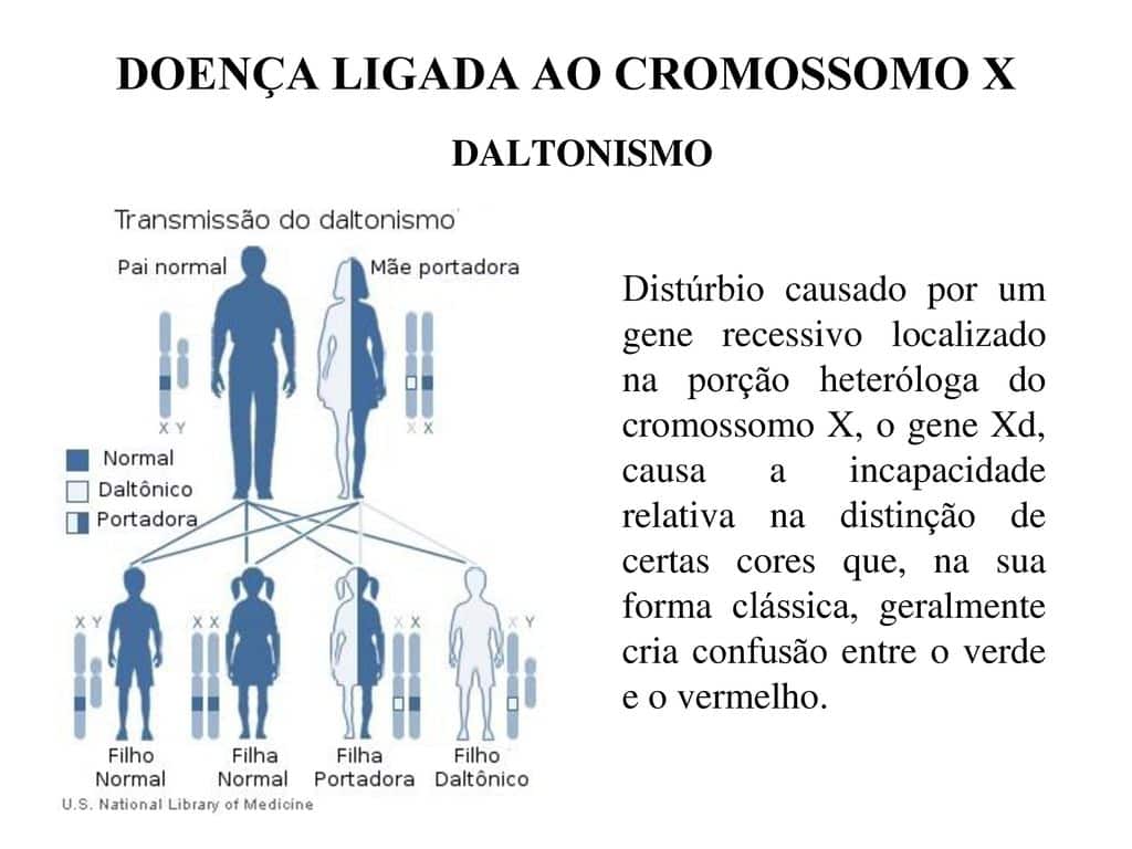 Genes Dominantes E Recessivos A Hereditariedade Cromossomos X E Y