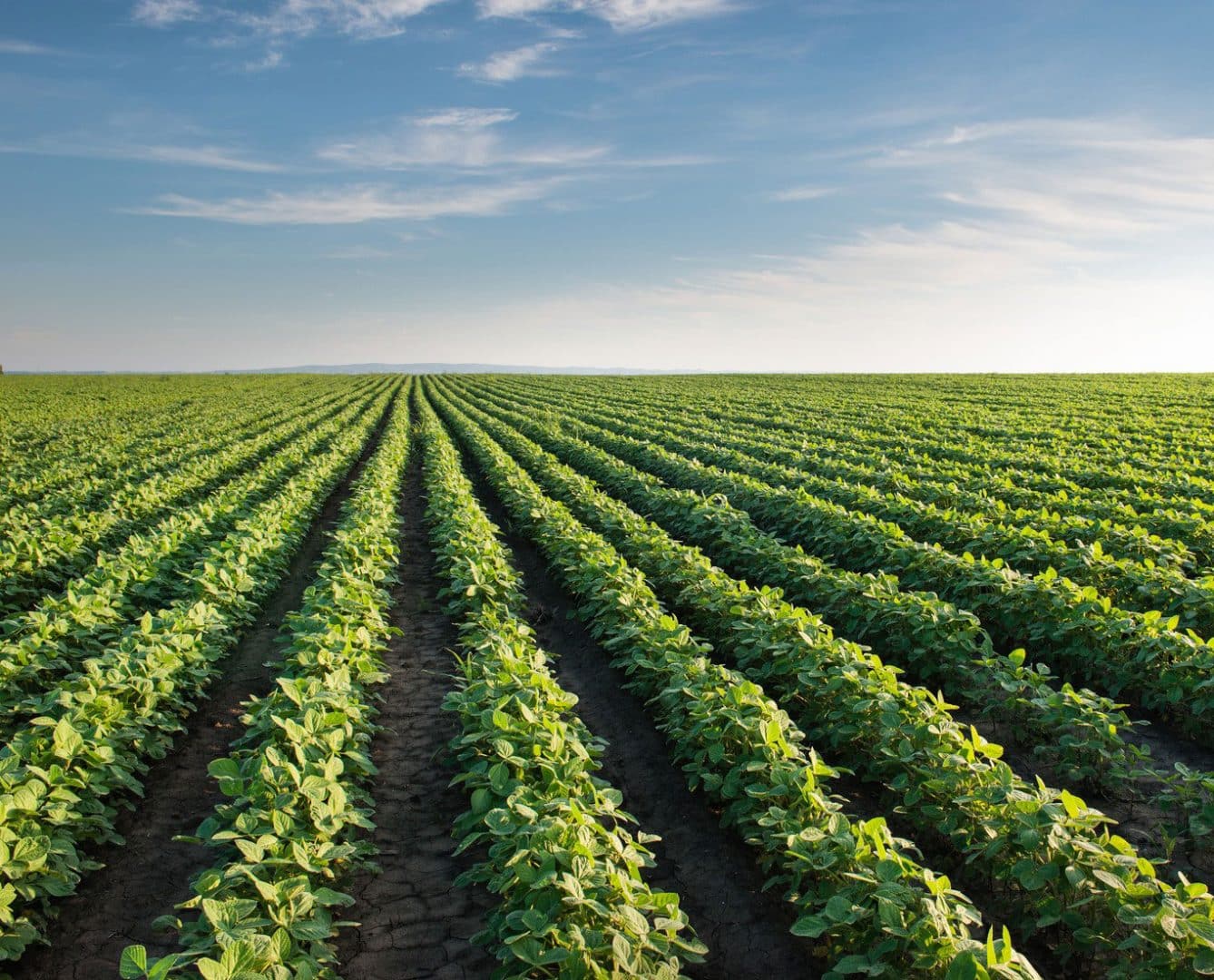 Sistemas Agrícolas – características, classificação, modos de produção