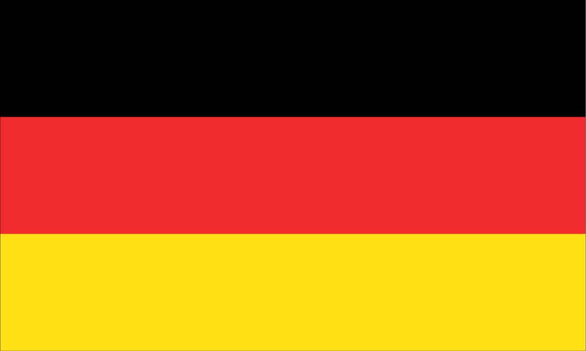 Bandeiras, significados e importância, venha conferir