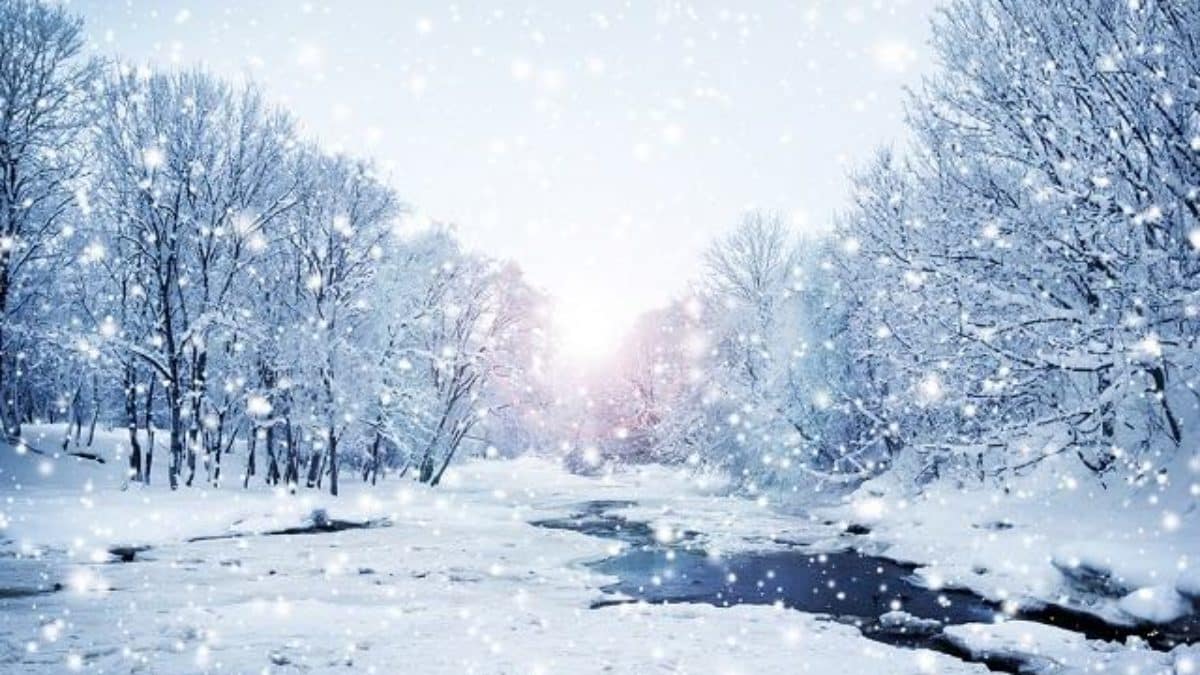 Inverno - O que é, características e funcionalidade em ...