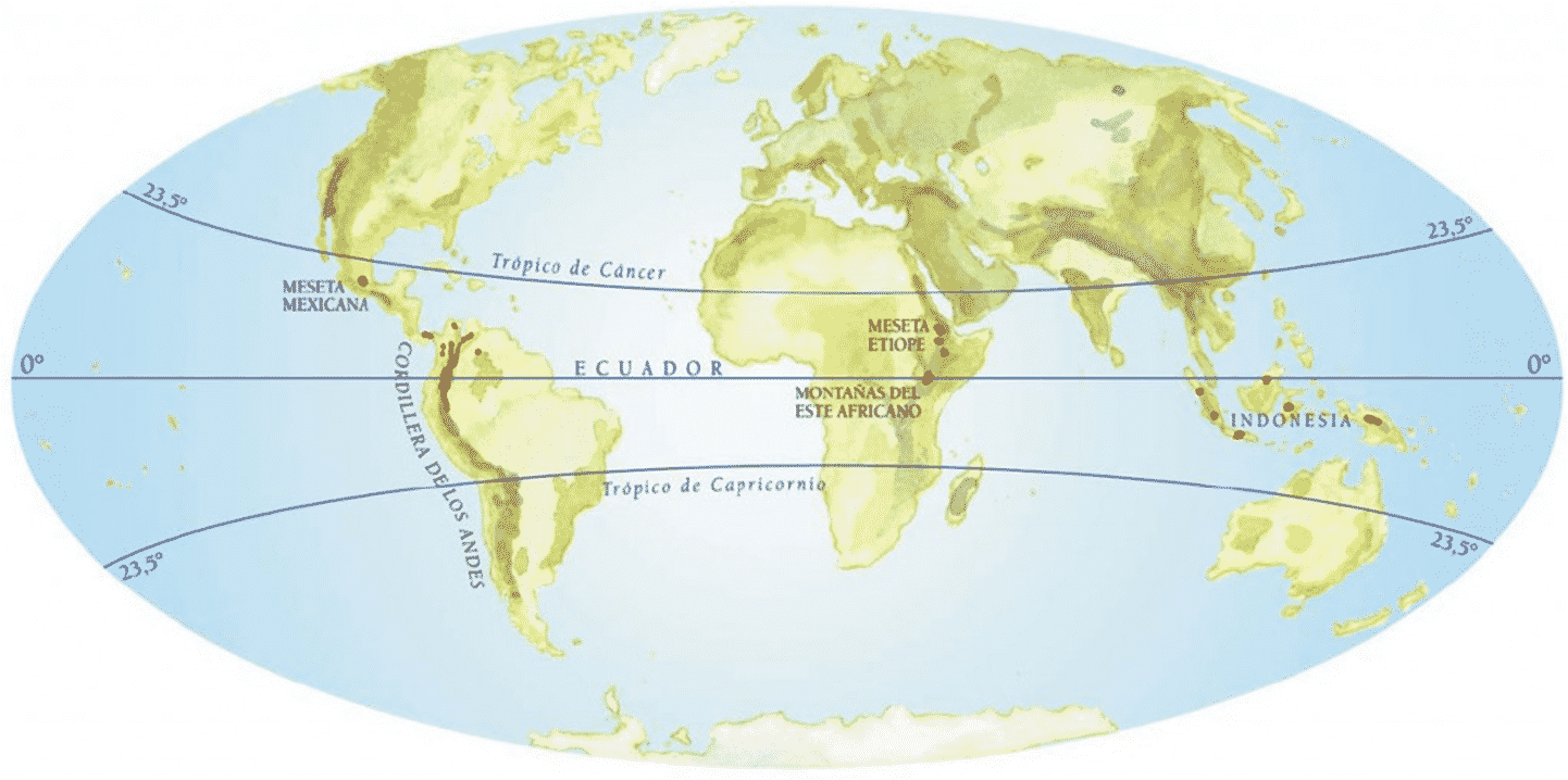 Дальше от экватора расположена зона. Тропико ЭКВАТОРИАЛЬНОЕ пространство. Северный Тропик (Тропик рака).