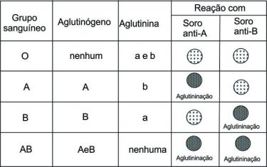 Sistema ABO, O Que é? Definição, Tipos Sanguíneos E Compatibilidade