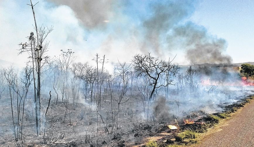 Queimadas O Que S O Causas Tipos E Consequ Ncias Ao Meio Ambiente