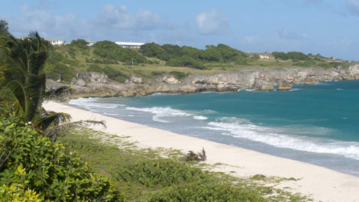 Zonas Litorâneas do Brasil, quais são? Localizações e características