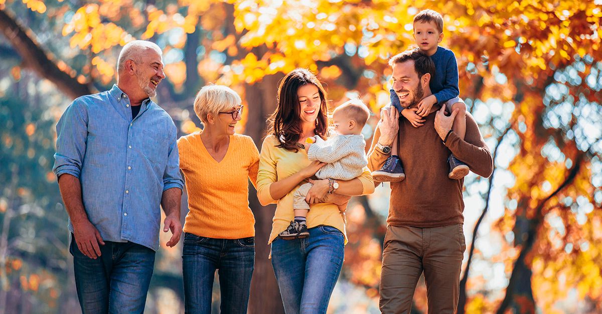 Árvore genealógica: o que é, para que serve e área de estudo