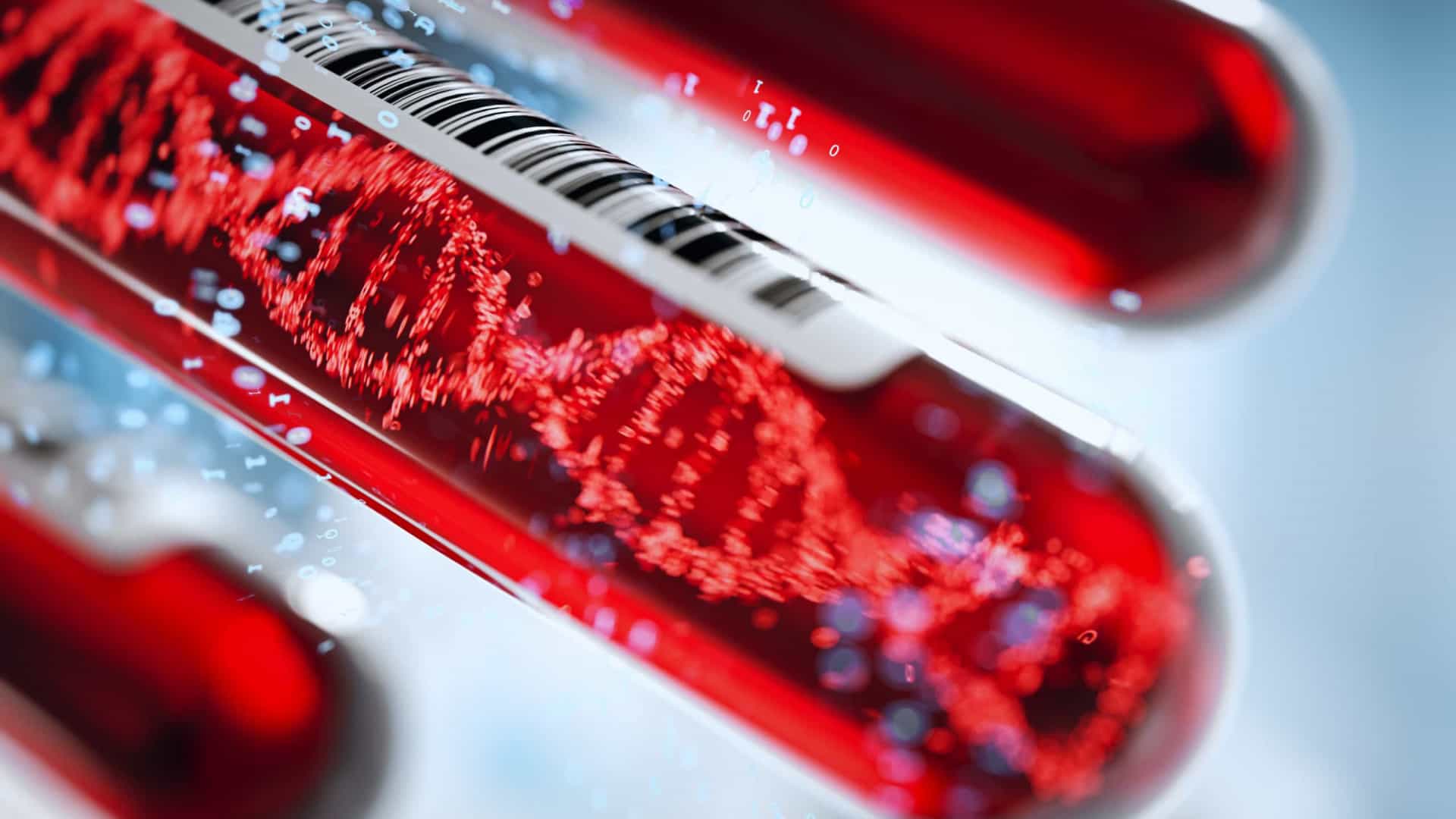 Rh nulo: conheça o sangue dourado, tipo sanguíneo mais raro do mundo