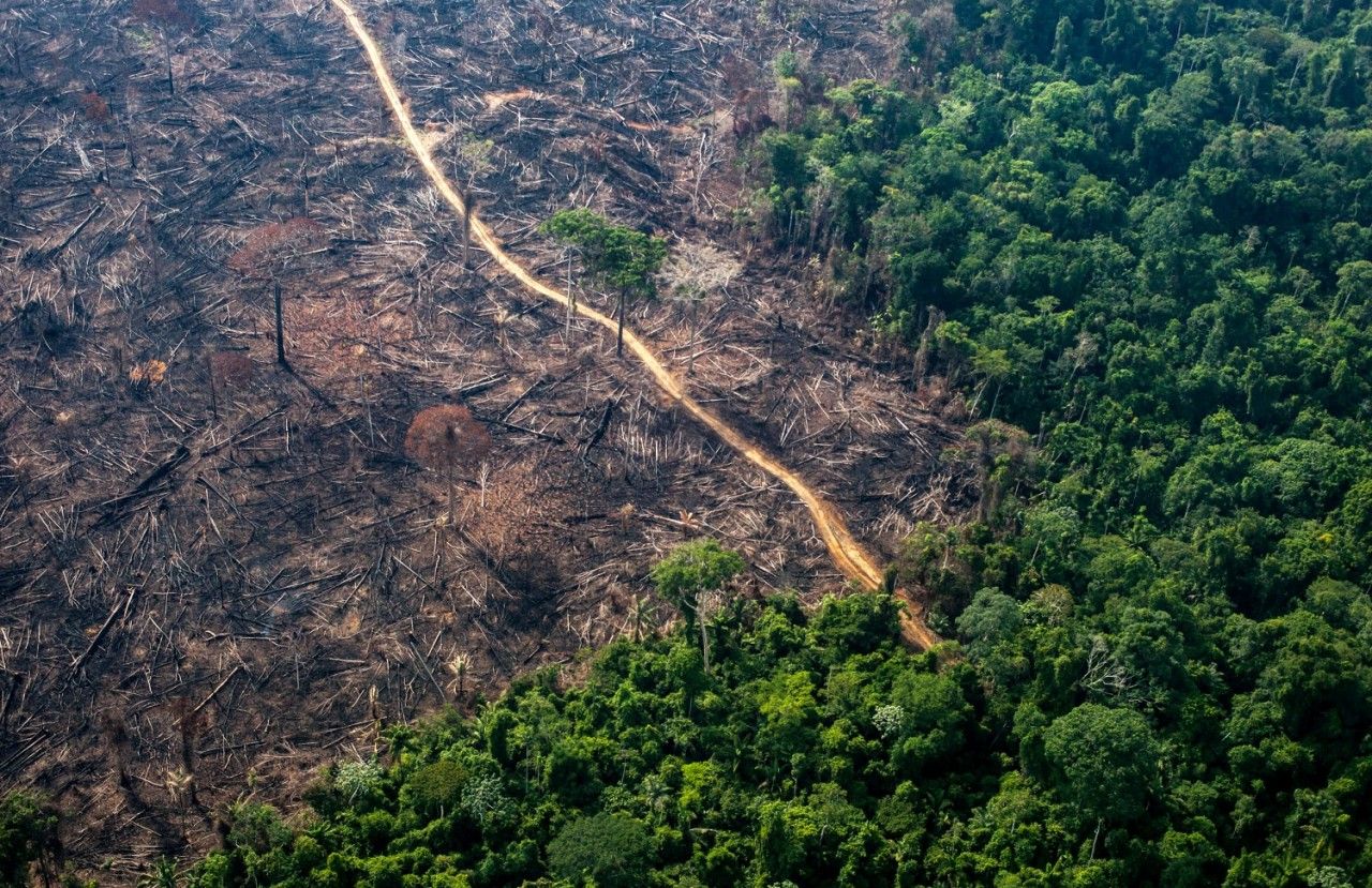 superfície terrestre