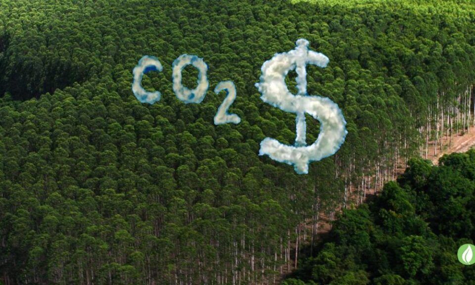 Créditos de carbono Como funciona, vantagens e desvantagens