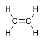 hibridização do carbono